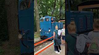 Wenn das Konzertgelände eine eigene Bahn hat 🤩🚂 shorts geolino festival berlin eisenbahn [upl. by Jayne909]