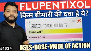 Flupentixol amp Melitracen Hindi  UsesPrecautionsSide Effects amp Dose [upl. by Dekeles209]