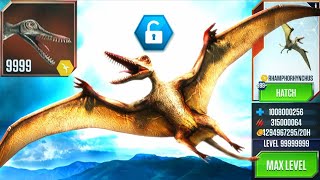 Rhamphorhynchus max feed outJurrasic world the game [upl. by Llerrem]