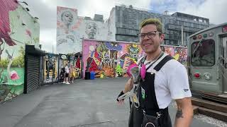 Guided tour of Wynwood walls [upl. by Yraillih]