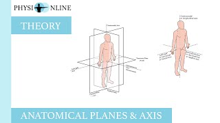 Anatomical planes amp axis [upl. by Kimberlee300]