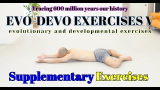 EvoDevo Exercises V  Supplementary Exercises [upl. by Calli]