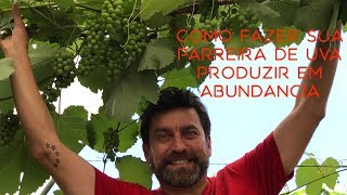 Como Fazer Sua Parreira de Uva Produzir em Abundância [upl. by Azerila129]