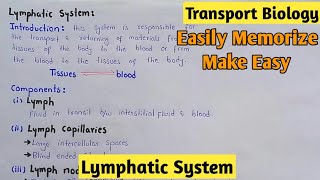 Lymphatic System  Lypmh  Class 11 Biology [upl. by Dumanian381]