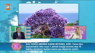 Saç dökülmesine karşı bitkisel kür  Sağlıklı Mutlu Huzurlu 60 Bölüm  atv [upl. by Asserak]