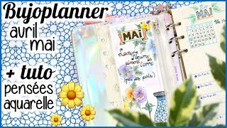 🌼 BULLET JOURNAL 3 avril mai et tuto pensée aquarelle [upl. by Ayatan337]