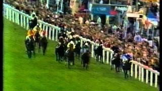 1984 Ever Ready Derby Stakes [upl. by Latreece]