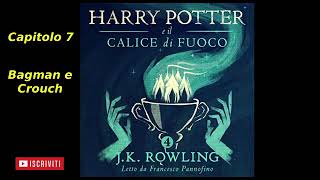 Capitolo 7 Harry Potter e il Calice di fuoco Audiolibro Italiano letto da Francesco Pannofino [upl. by Kay240]