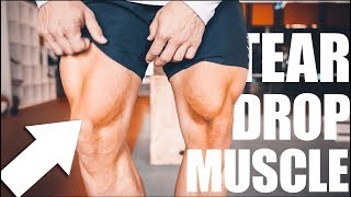 LEG DAY TRAINING  VASTUS MEDIALIS [upl. by Slotnick933]