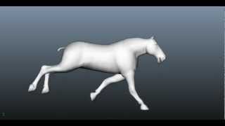 Character Animation  Horse Run Cycle Side View [upl. by Nilac]