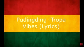 Pudingding by Tropa Vibes Reggae Version lyrics [upl. by Kuo]