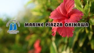 Welcome to MARINE PIAZZA OKINAWA [upl. by Aserehs550]