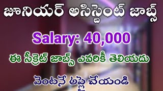 ఐఐటి కాలేజీలో జూనియర్ అసిస్టెంట్ జాబ్స్  IIT Junior assistant job  All jobs station Latest jobs [upl. by Ode208]