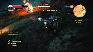 The Witcher 3 Wild Hunt Imlerith Boss Fight Death March Level 1 Gear [upl. by Aydiv509]