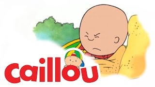 Caillou  Caillou Makes a New Friend S01E38  Videos For Kids [upl. by Edrahs]