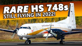 RARE Hawker Siddeley HS 748s STILL FLYING Air Creebec in Timmins Ontario 4K [upl. by Converse]