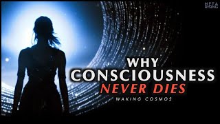 Why Consciousness is Immortal  The Philosophical Proof of Life After Death [upl. by Nuahsor]