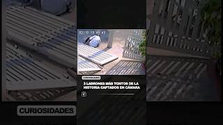 3 Ladrones tontos captados en Cámara 🎥 curiosidades sabiasque humor [upl. by Dlnaod241]