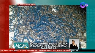 Sangkaterbang bulate lumitaw sa baybayin ng dalawang bayan sa Ilocos Sur  SONA [upl. by Ekaj]