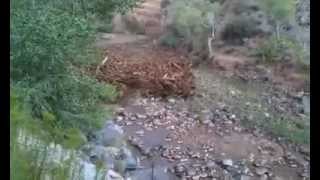 Flash Flood Beginning Near Virgin Utah amp Zion National Park [upl. by Chae]