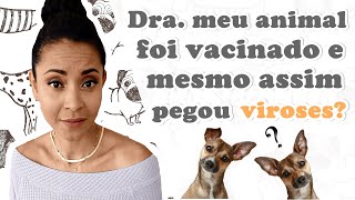 DRA MEU ANIMAL FOI VACINADO E MESMO ASSIM PEGOU VIROSES [upl. by Jochbed8]