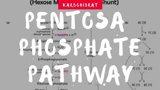 Pentose Phosphate Pathway [upl. by Elsy335]