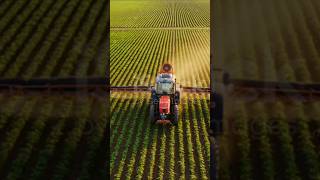 soybean fields with fungicides pesticides herbicides Toxic enviroment [upl. by Ebenezer897]