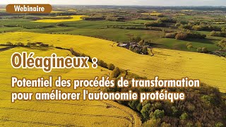 Oléagineux  potentiel des procédés de transformation pour améliorer lautonomie protéique [upl. by Zirtaeb]