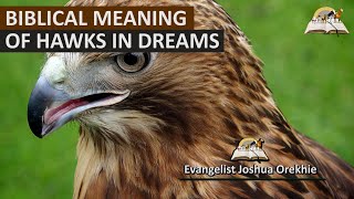 Biblical Meaning of HAWK In Dream  Seeing Hawks in Dreams [upl. by Connett]