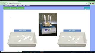 Experiment 5 Study of analgesic activity with the help of quothot plate apparatusquot [upl. by Rafaelita]