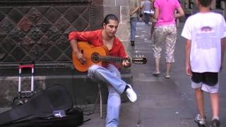 Flamenco Guitar player  le Cathedral Barcelona 2009 [upl. by Anoi]