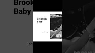 Brooklyn baby  Lana Del Ray [upl. by Ecitsuj]