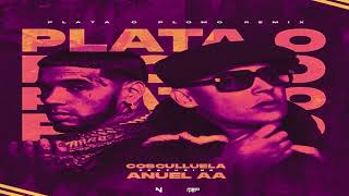 Cosculluela Ft Anuel AA  Plata O Plomo Remix [upl. by Oniotna]