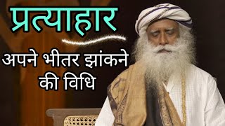 प्रत्याहार योग  झांके अपने भीतर  Pratyahara Yoga for Inner Exploration  Sadhguru QampA in Hindi [upl. by Mercy227]