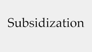 How to Pronounce Subsidization [upl. by Aramoix]