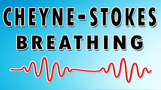 Breathing in Waves Understanding CheyneStokes Respiratory Rhythm [upl. by Kellie732]