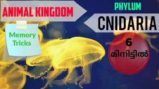 Phylum Cnidariacoelenterata of Animal kingdom easy learning tricks in MalayalamNEET revision [upl. by Areid444]