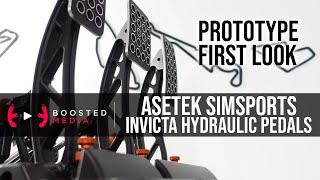 Asetek SimSports Invicta Hydraulic Sim Racing Pedals  DETAILED FIRST LOOK [upl. by Feune]