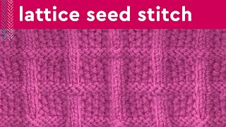 Lattice Seed Stitch Knitting Pattern for Beginners [upl. by Cahilly991]