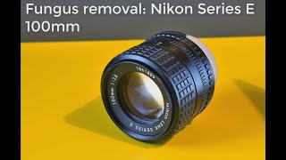 Canon 100mm f28 Macro Lens Test Video [upl. by Bari]