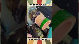 China Bamboo Cup Making Fact  kannada facts karnataka amazing youtubeshorts trendingshorts [upl. by Dymphia]