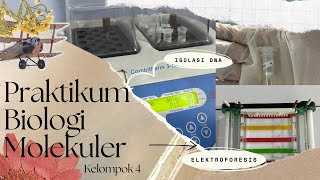 ISOLASI DNA DAUN NANGKA Artocarpus heterophyllus MENGGUNAKAN DNA EXTRACTION KIT amp ELEKTROFORESIS [upl. by Kurth]