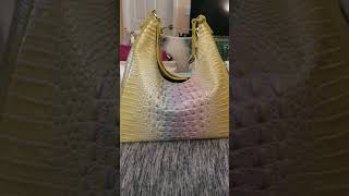 Brahmin Handbag Collection 2022 [upl. by Sirois]