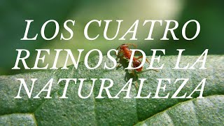 LOS CUATRO REINOS DE LA NATURALEZA [upl. by Wilonah43]