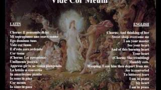 Vide Cor Meum  original libretto in Italian  latin with translation [upl. by Mellette]