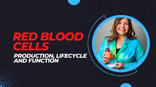 Red Blood Cells Production Life Cycle and Function [upl. by Schnapp]