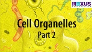 Cell Organelles Part 2 [upl. by Ellesirg949]