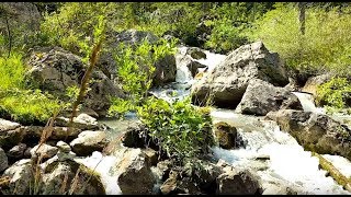 Musique Relaxante 2 Paysages montagnes lac et forêt [upl. by Smallman179]