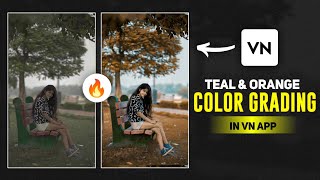 Vn Video Editor Colour Grading Tutorial For Beginners  How To Colour Grade Video In Vn App [upl. by Aneres956]