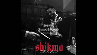 SHIKWA Slowed amp Reverb  Talhah Yunus  Prod By Jokhay  Talha Anjum [upl. by Ecnatsnoc361]